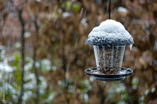 Obraz Vogelfutter für den Winter