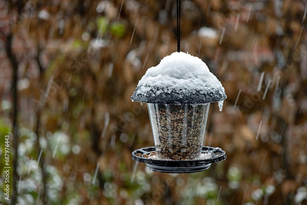Obraz Vogelfutter für den Winter