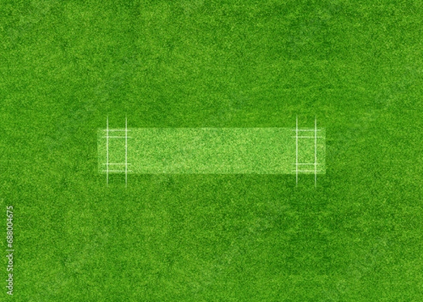 Fototapeta A cricket pitch direct top view of the layout with the grass cricket field