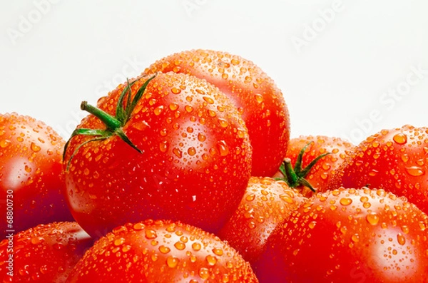 Fototapeta Wet tomatoes on white
