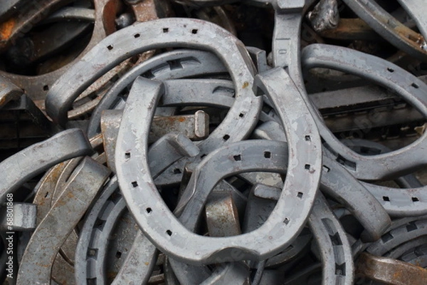 Fototapeta Horseshoe