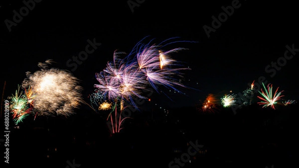Obraz Firworks