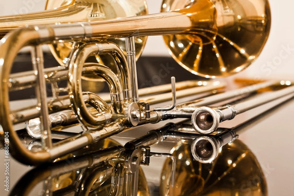 Obraz Leżący zbliżenie puzon