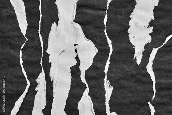 Fototapeta Black and White Torn Paper Collage Style, Ripped Paper Effect, Texture Abstract Background, Copy Space for Text.