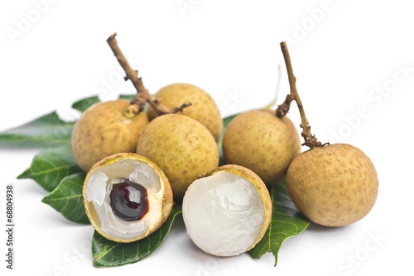 Obraz longan - fruit on white background