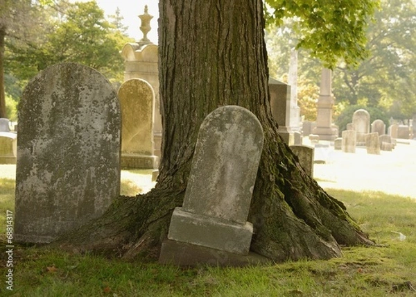 Obraz Tombstone and Tree
