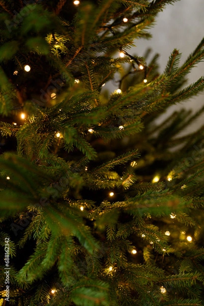 Obraz christmas tree with lights