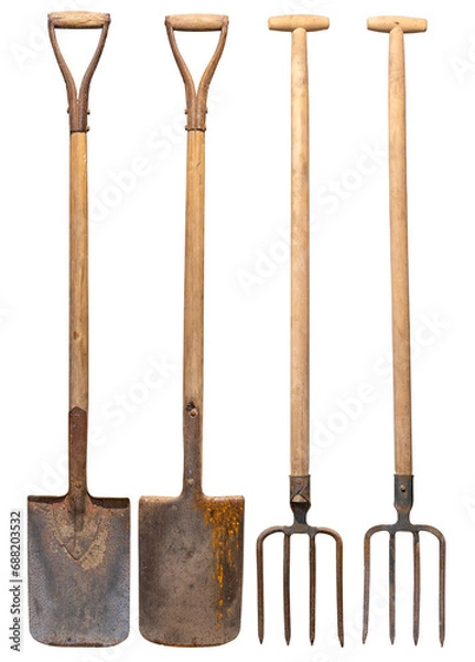 Obraz Old tools for tilling the land on the farm. Forks and spade on isolated background.