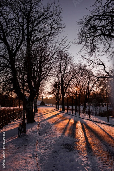 Obraz sunset in the park
