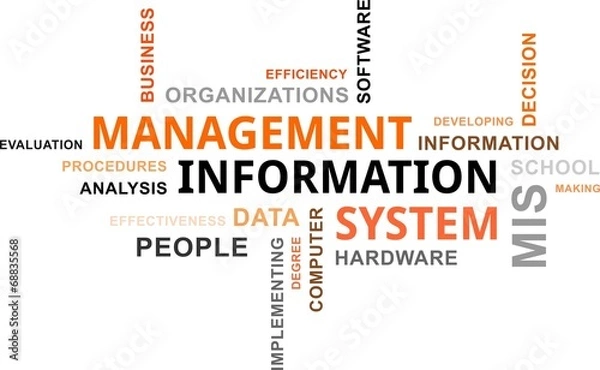 Obraz chmura słów - mis