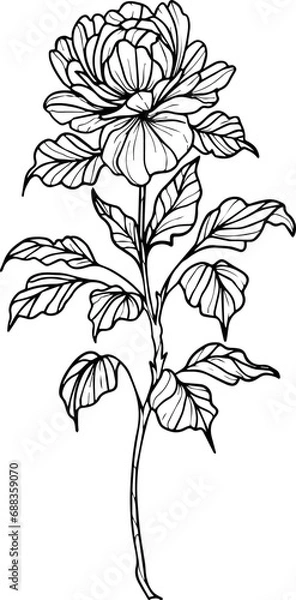 Obraz Realistic Floral Collection