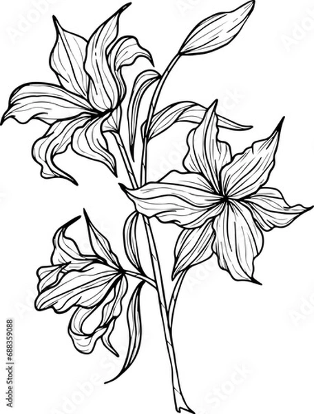 Fototapeta Realistic Floral Collection