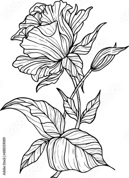 Obraz Realistic Floral Collection