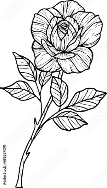 Fototapeta Realistic Floral Collection