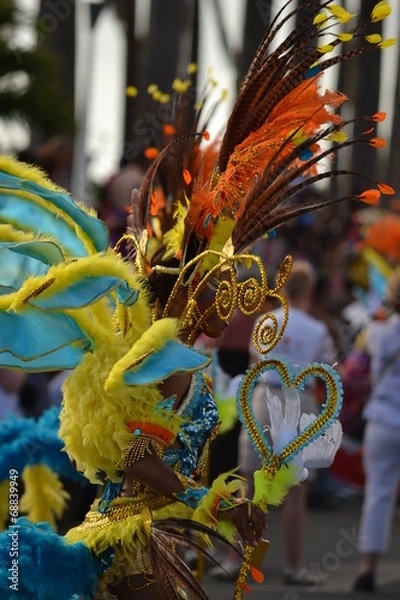 Obraz Le costume en plumes
