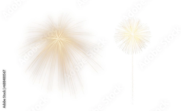 Fototapeta fireworks splash on transparent background