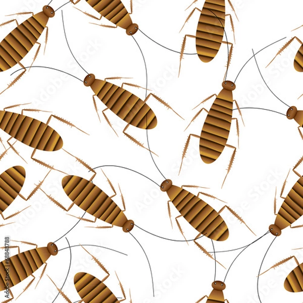 Fototapeta Cockroaches seamless pattern