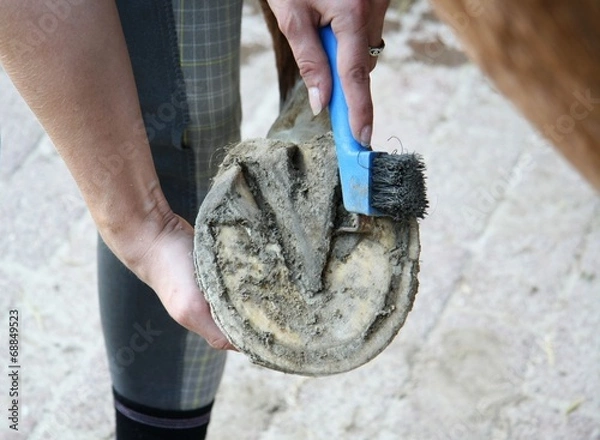 Obraz Pferdefuß säubern