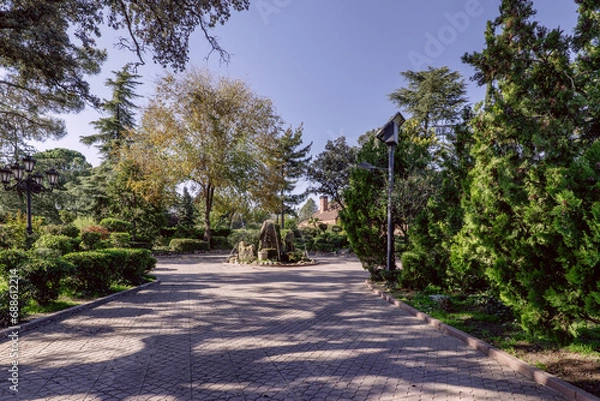 Fototapeta A scene of the water jets of a small decorative fountain on a walking path of an estate with a luxury single-family home