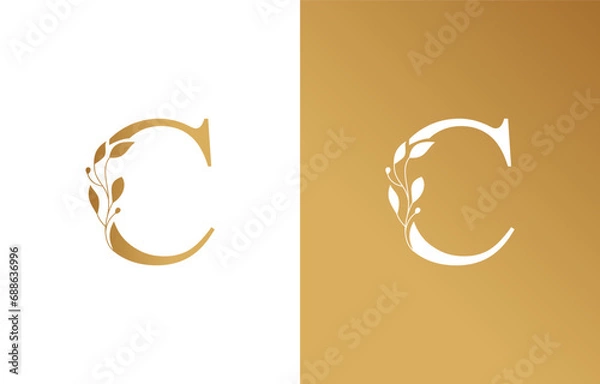 Fototapeta Beauty Natural Leaf Logo Design