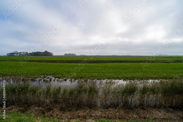 Fototapeta Fields outside of Ternaard, the Netherlands