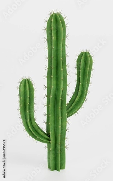 Fototapeta Realistic 3D Render of Saguaro Cactus