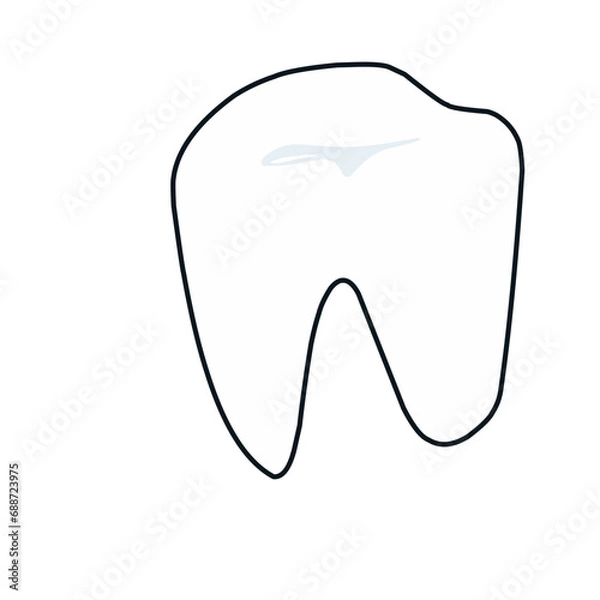 Fototapeta Human teeth