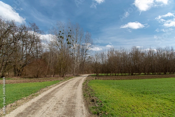 Fototapeta Rural road between fields in Prekmurje, Slovenia