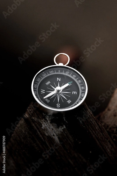 Obraz Compass, navigational compass, travel compass, lost compass,