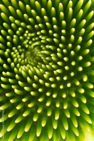 Obraz Green abstract background with leaves