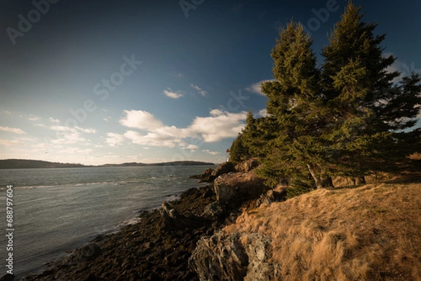 Obraz East Coast Beach