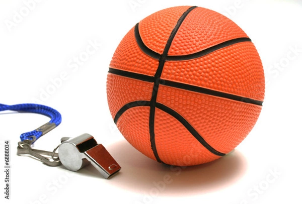 Obraz Flute and basketball
