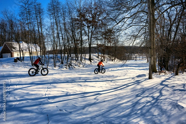 Obraz bicycle in snow