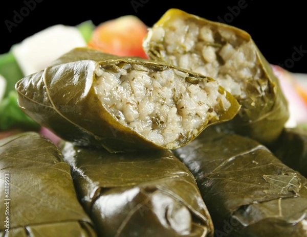 Obraz Greek Dolmades