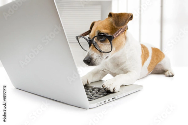 Obraz pies komputerowy