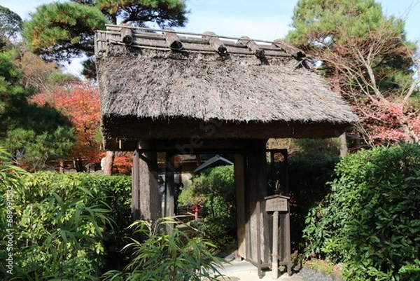 Fototapeta 秋の鎌倉。一条恵観(ｴｶﾝ)山荘の紅葉。御幸門。