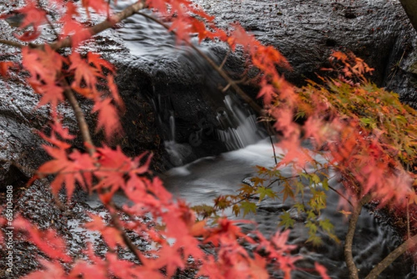 Fototapeta 滝と紅葉