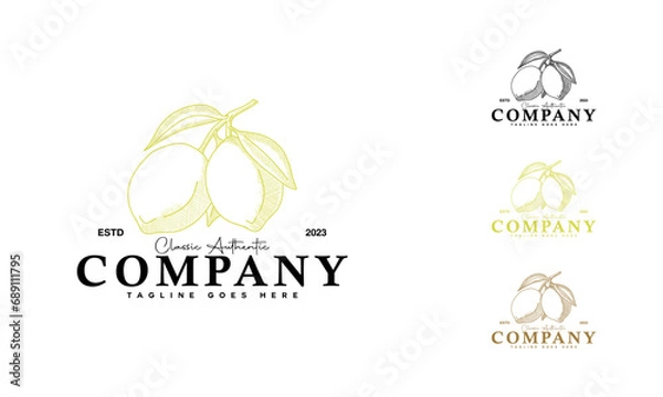 Fototapeta  Botanical Lemon Logo Retro Design. Hand Drawn Lemon Vintage Emblem Isolated.