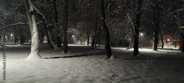 Obraz Zima Las Park Noc 