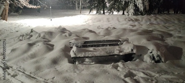 Obraz Zima Las Park Noc 