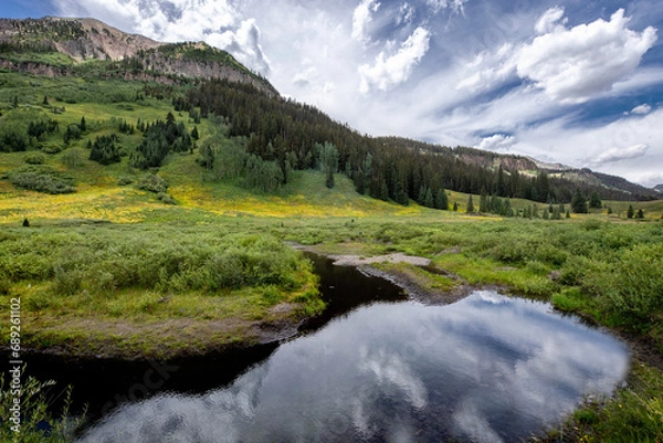 Fototapeta Colorado Summer