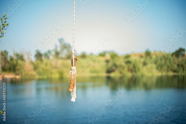 Fototapeta Detail of a stick and a rope tied to a tree to jump into the water in a lake. Sunny summer day.