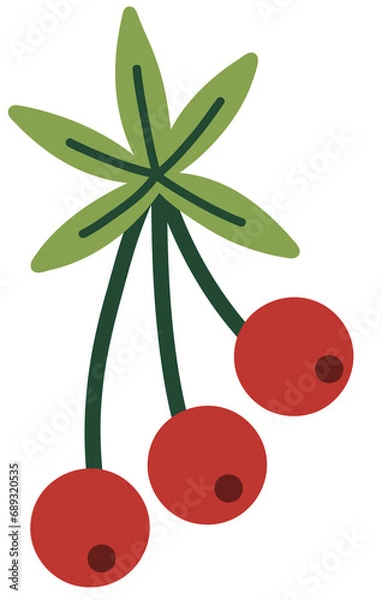 Obraz Decorative Winter Berries