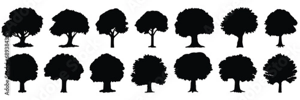 Fototapeta Tree silhouettes set, large pack of vector silhouette design, isolated white background