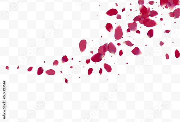 Obraz Purple Peach Falling Vector Transparent