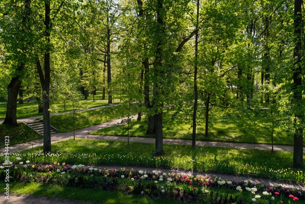 Fototapeta View of the alley and Flower Slide in Gatchinsky Park on a sunny summer day, Gatchina, Leningrad region, Russia