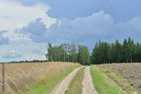 Fototapeta Rural landscape at sunny day in Central Poland, Europe