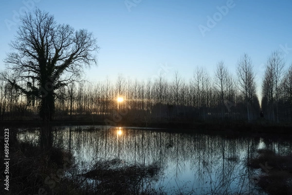 Obraz Oxbow small artificial lake Po Valley trees reflection