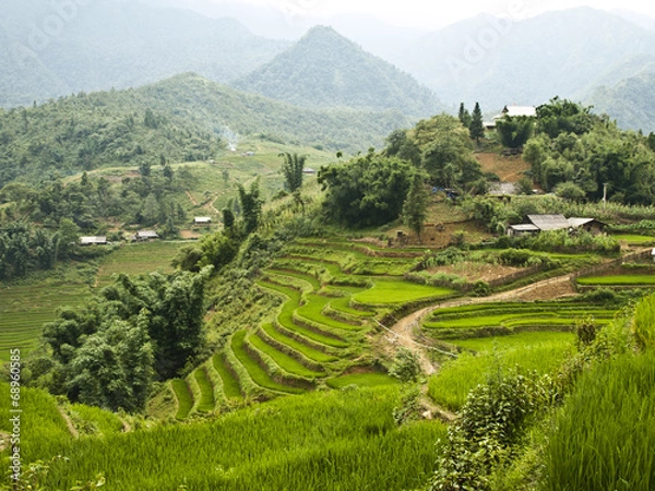 Obraz OLYMPUS DIGITAL CAMERA