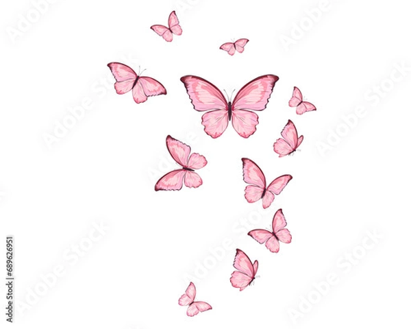 Obraz butterfly on a pink background
